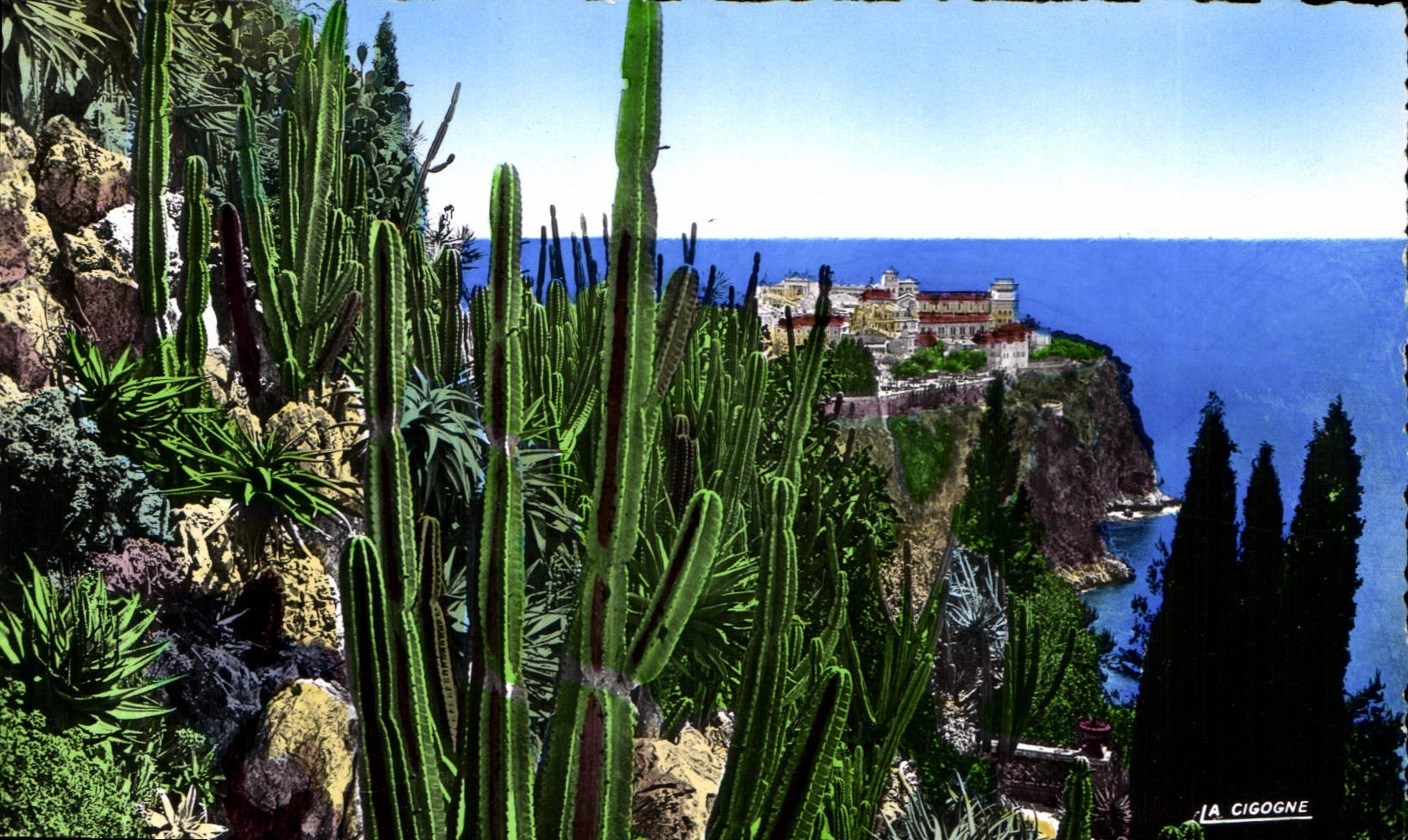 CPA Monaco les Jardins Exotiques vue sur le Rocher de Monaco