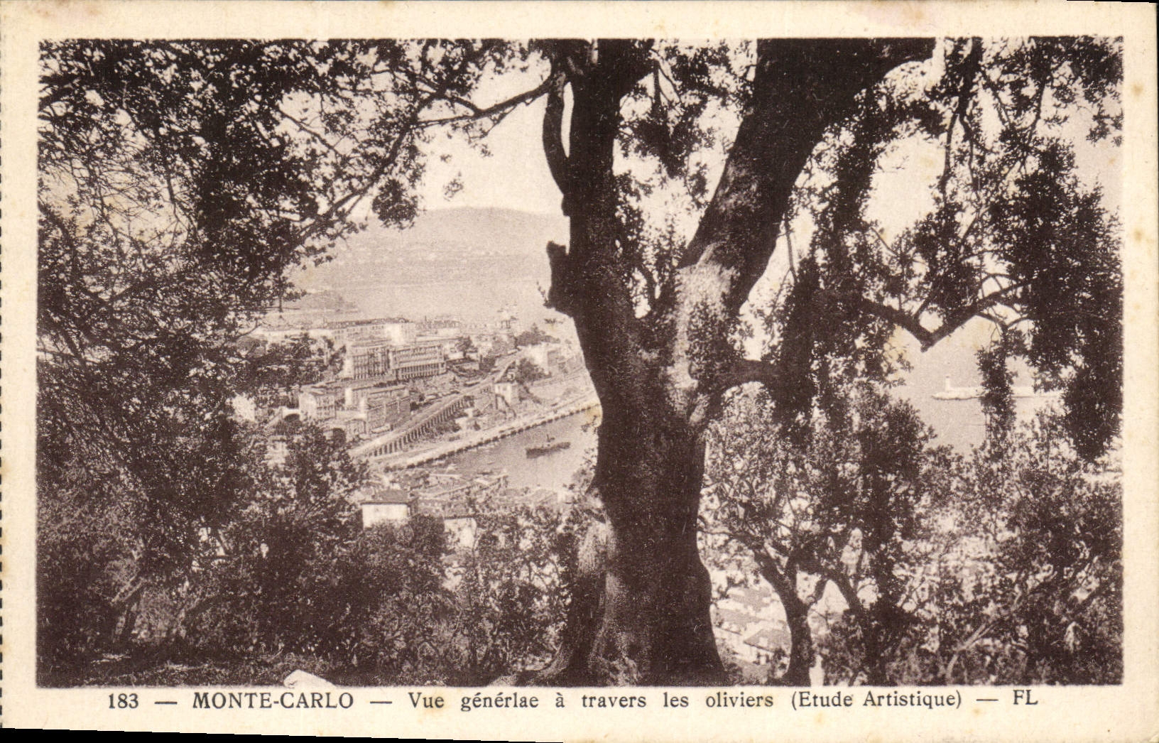 CPA Monte Carlo vue generale a travers les Oliviers Etude Artistique 