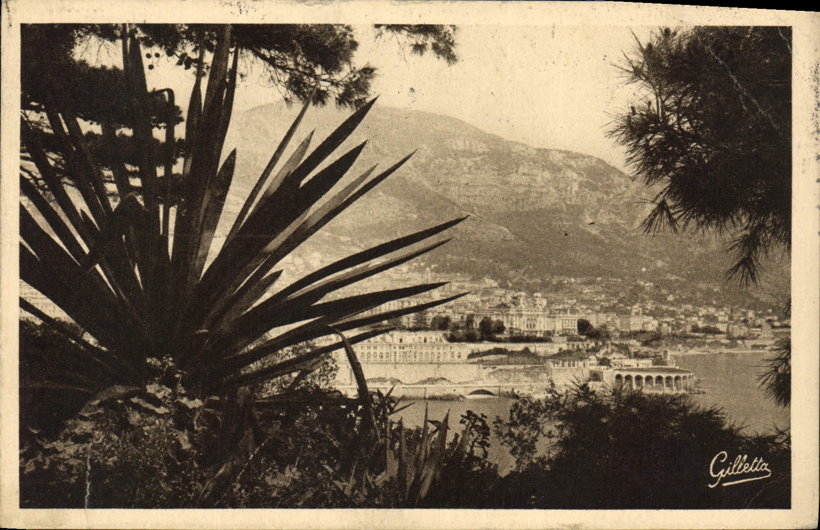CPA Cote d'Azur Artistique Monte Carlo Entre les Arbres