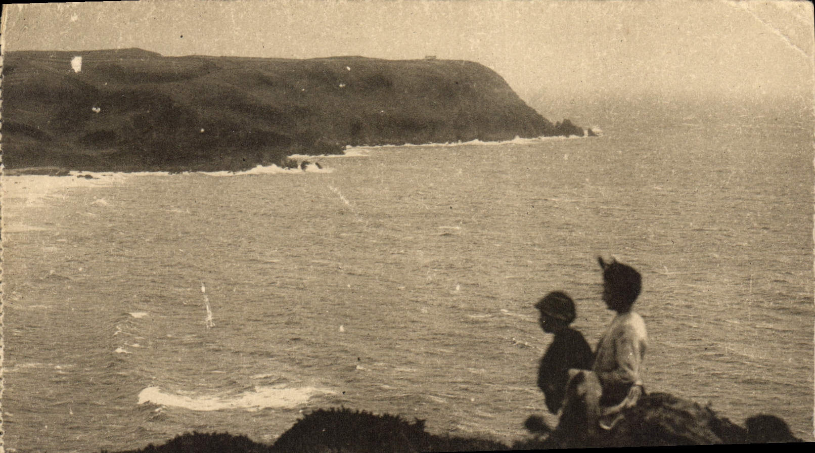 CPA La Baie d'Ecalgrain et les Grandes Falaise de Jobourg 