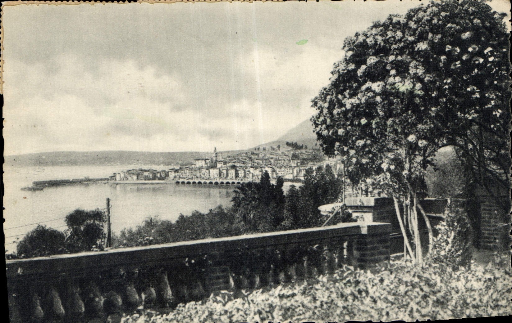 CPA Menton entre les fleurs vue prise de Garvan