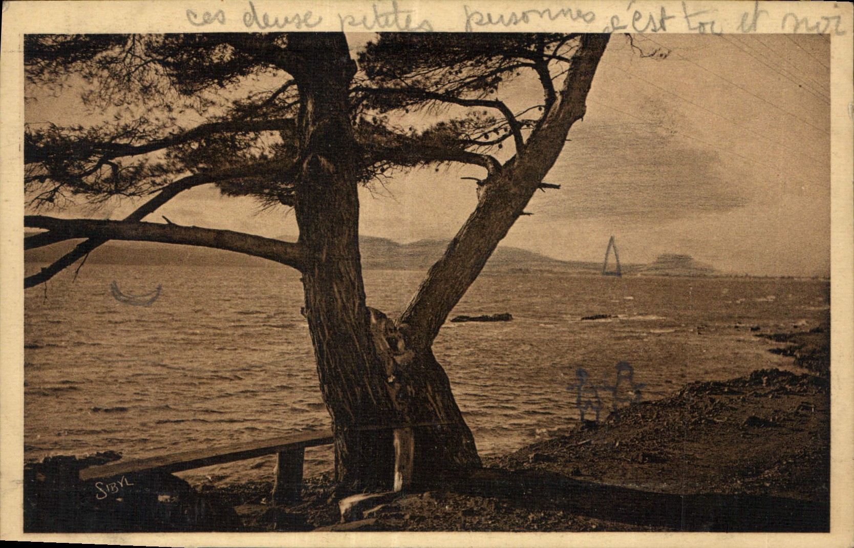 CPA Du Cap d'Antibes au Cap Martin 