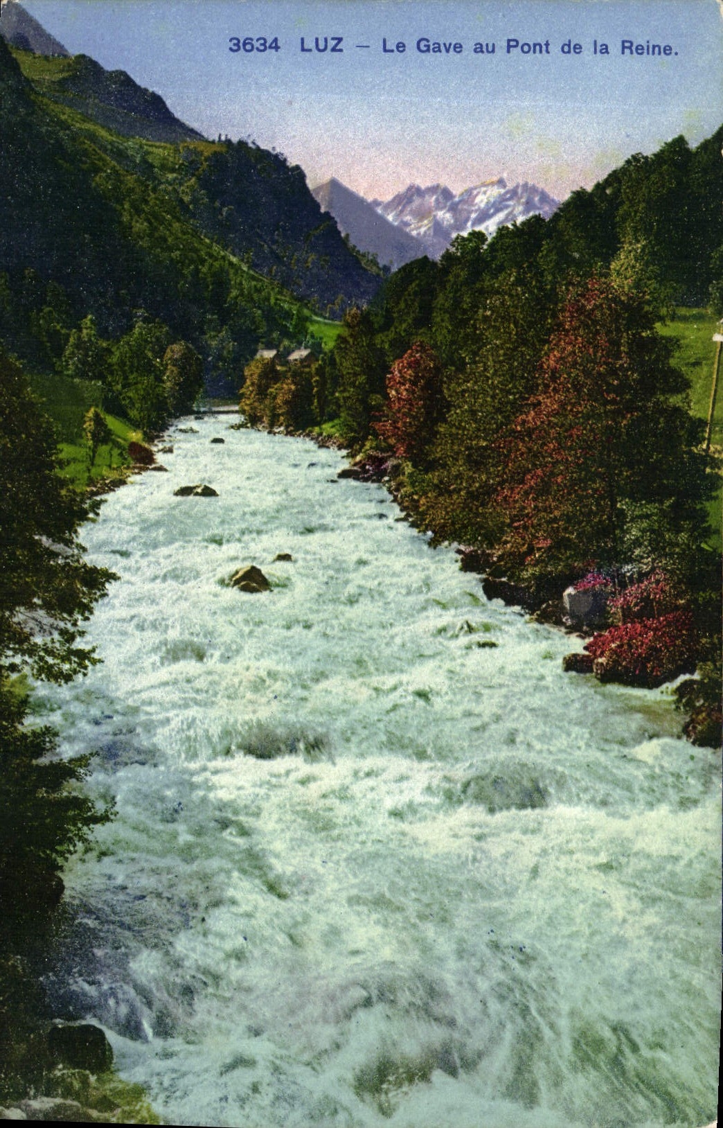 CPA Luz le Gave au Pont de la Reine 