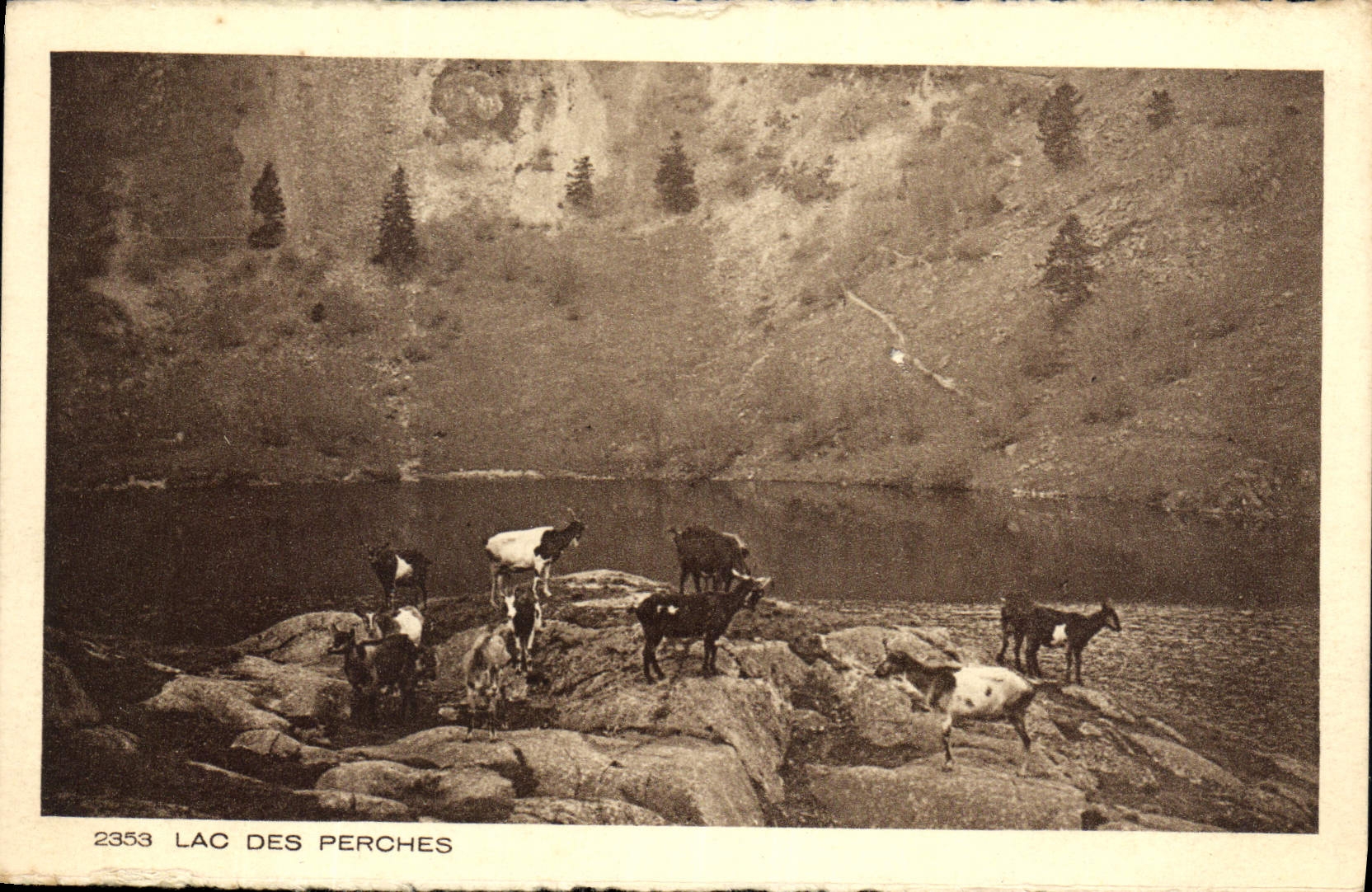 CPA Lac des Perches Chevres