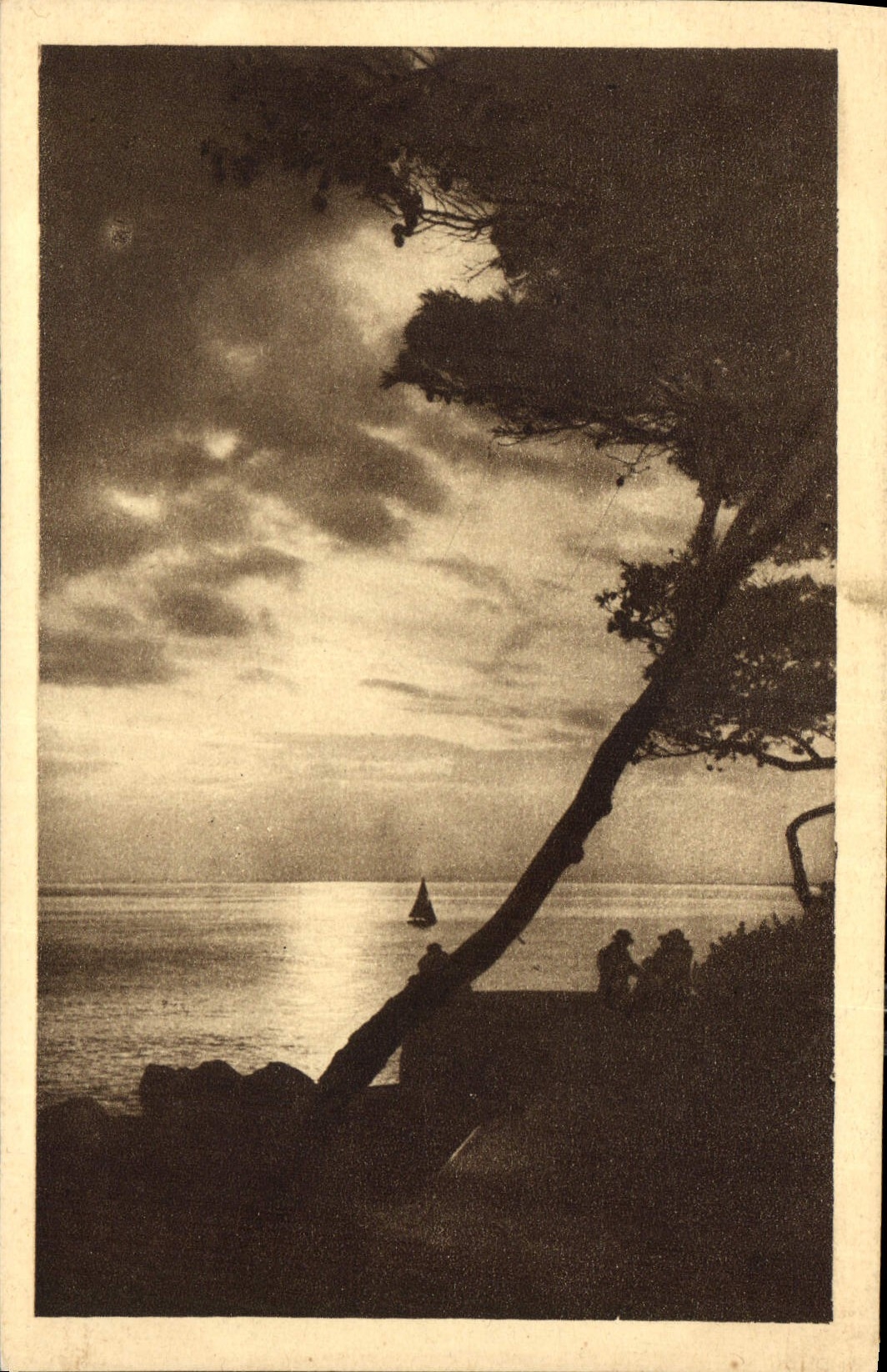 CPA Couchant sur la Cote d'Azur