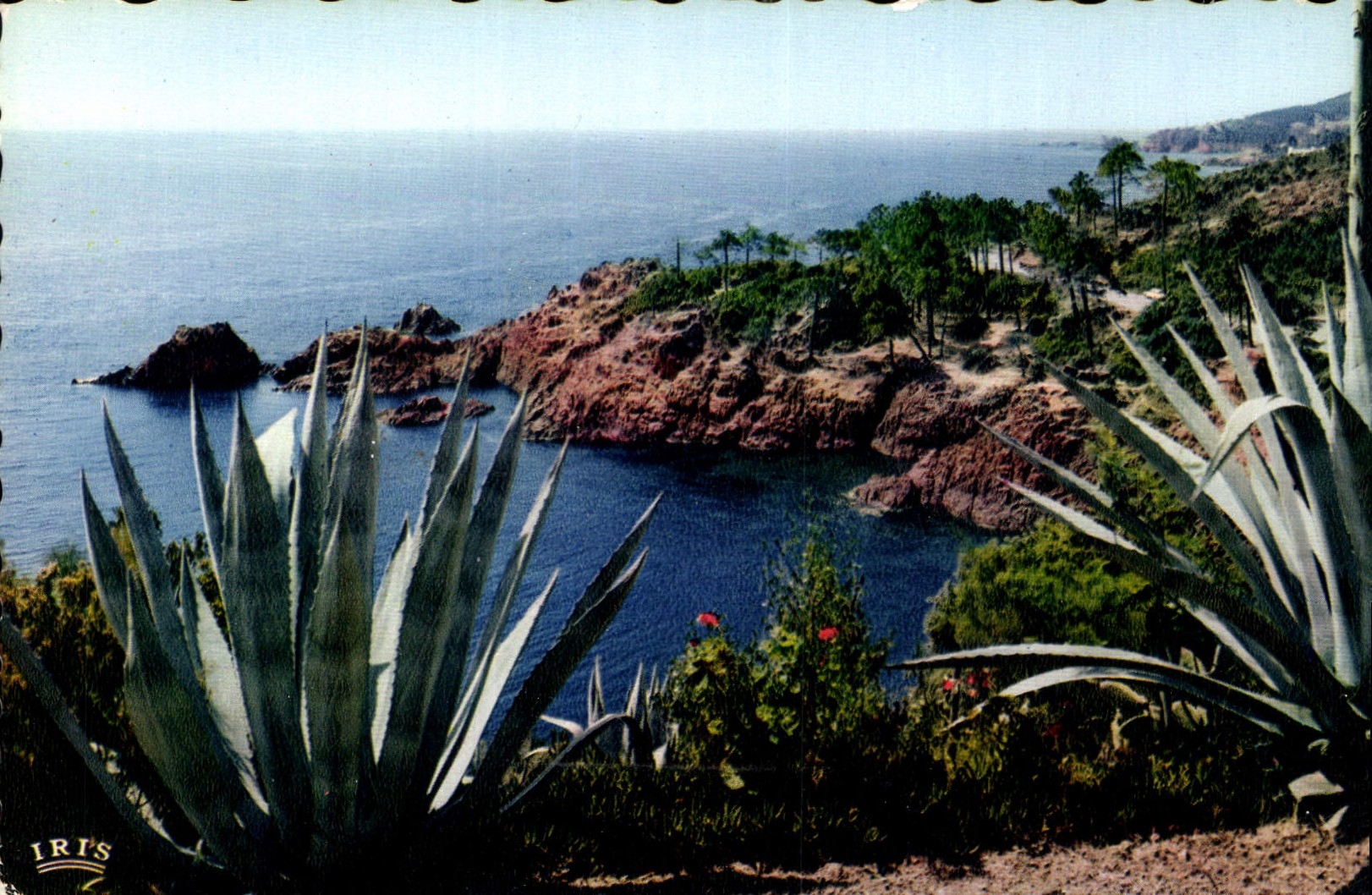CPA Reflets de la Cote d'Azur La Corniche d'Or Rivages Mediterranee