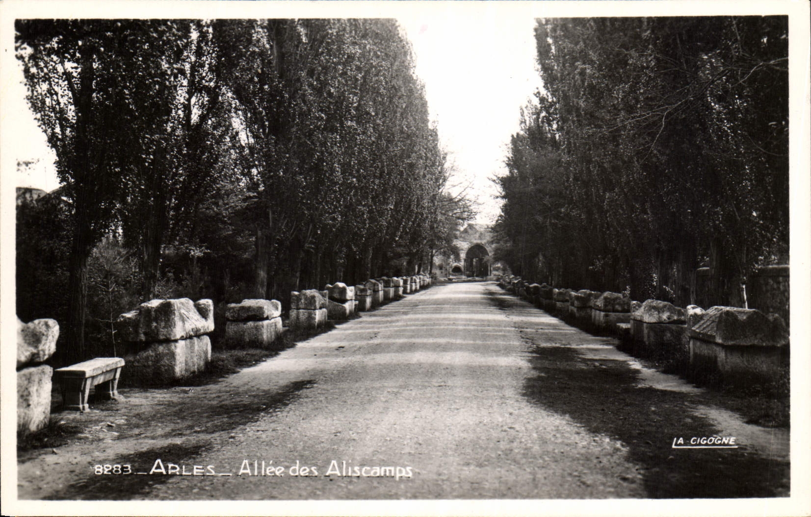 CPA Arles Allee des Alyscamps 