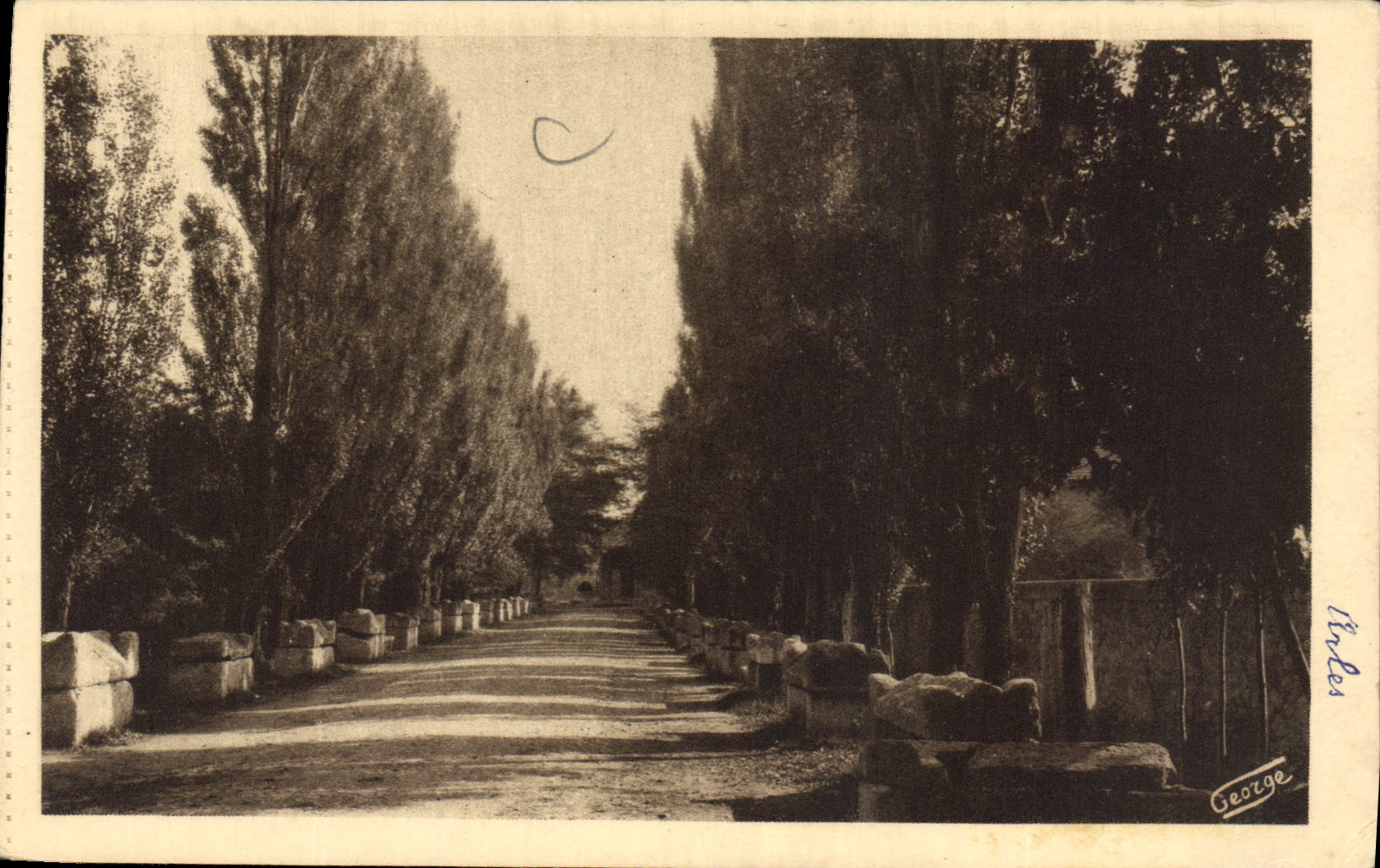 CPA Arles sur Phone Les Alyscamps Allee des Tombeaux