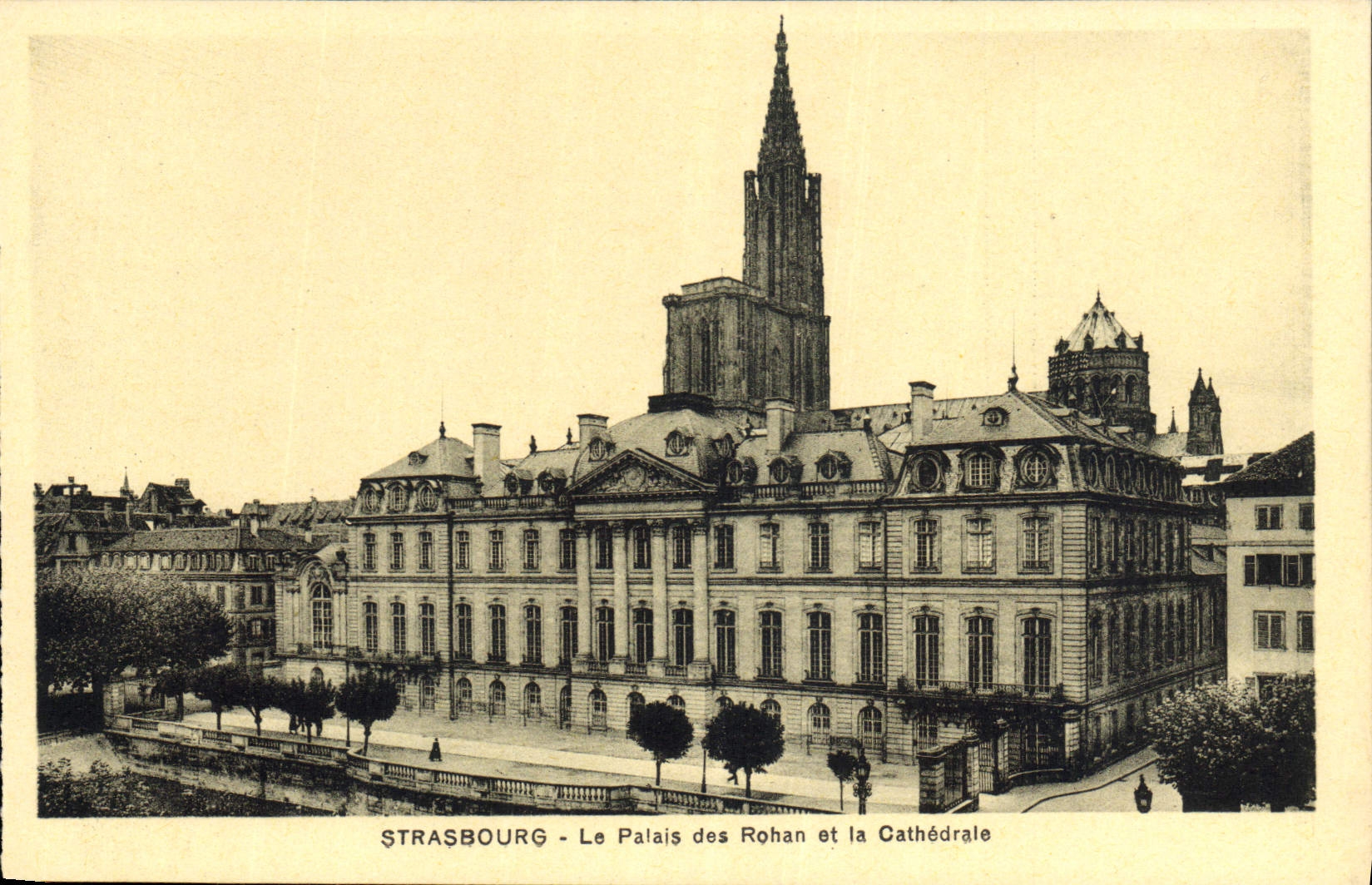 CPA Strasbourg le Palais des Rohan et la Cathedrale 