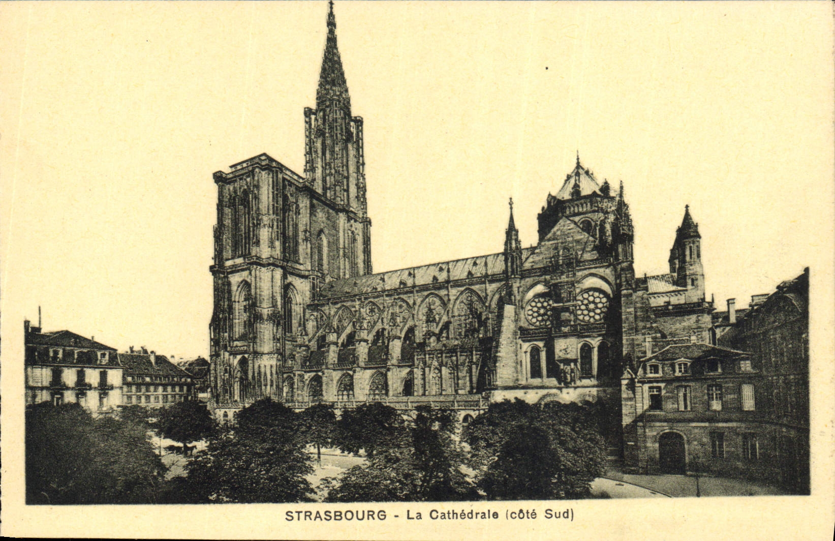 CPA Strasbourg La Cathedrale cote sud 