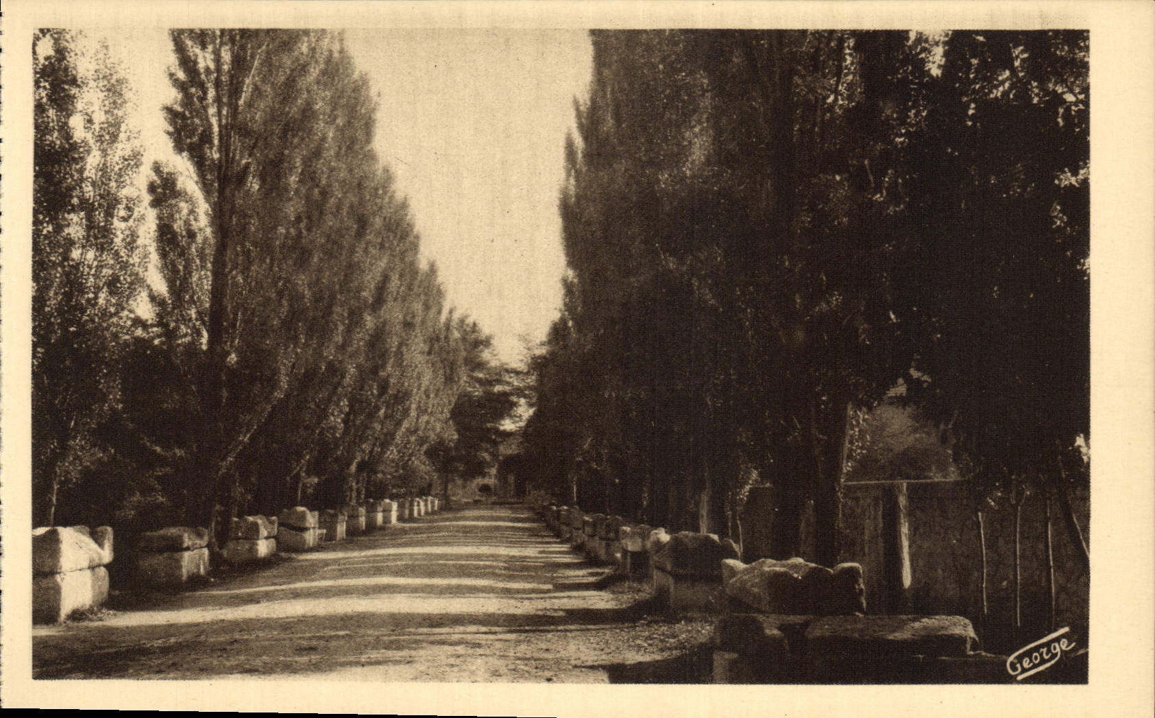 CPA Arles sur Rhone Les Alyscamps Allee des Tombeaux