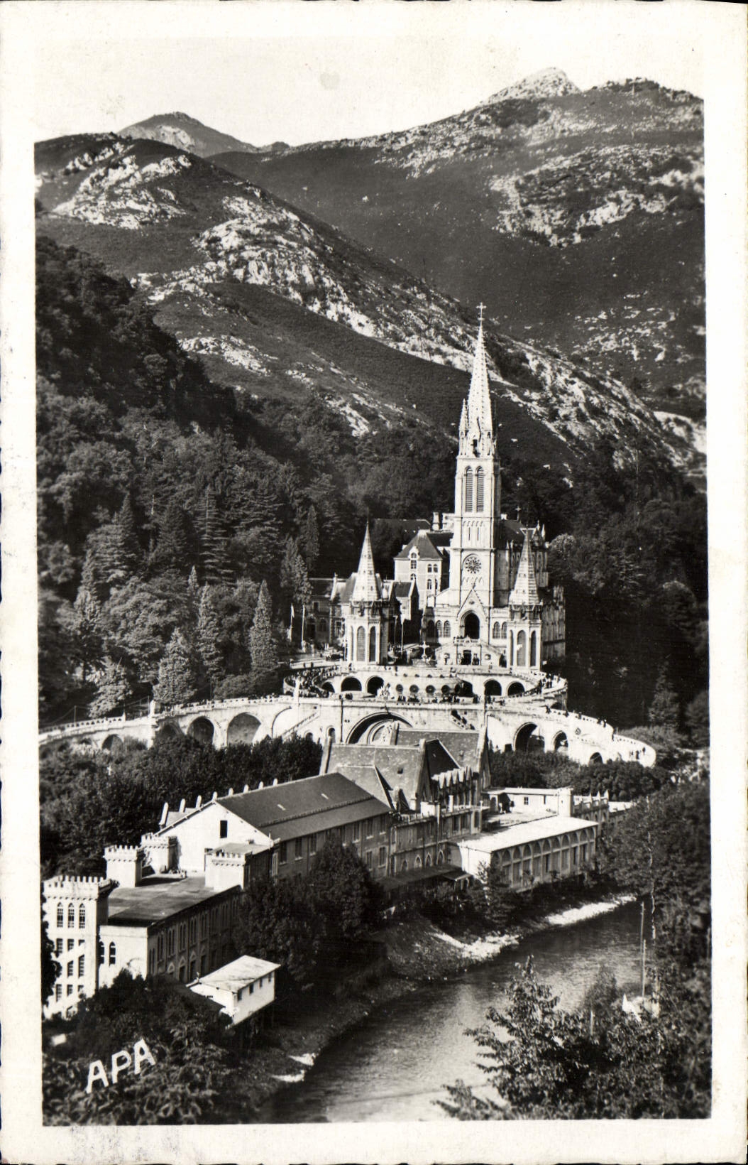 CPA Lourdes La Basilique et le Gave 