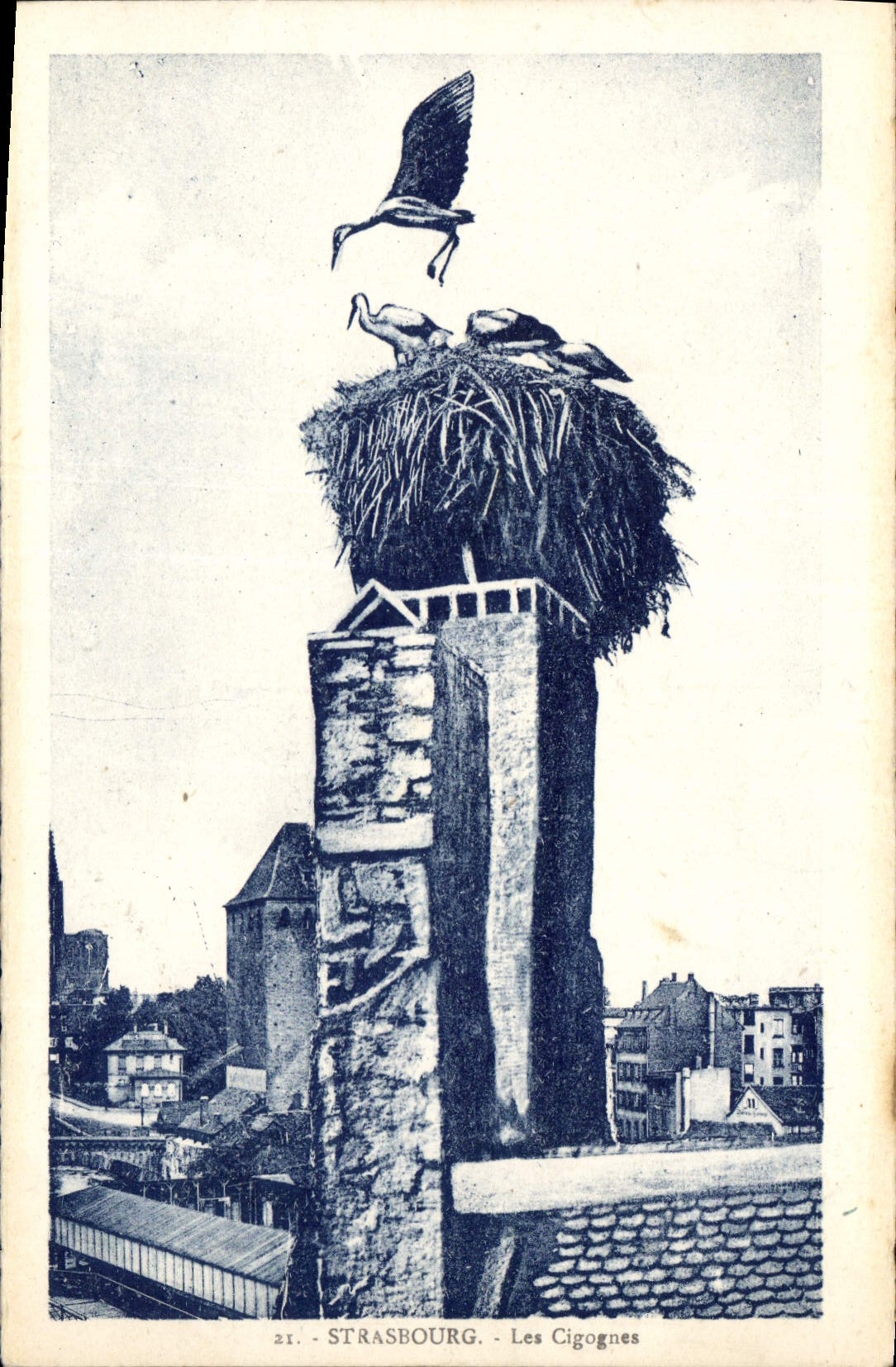 CPA Strasbourg Les Cigognes 