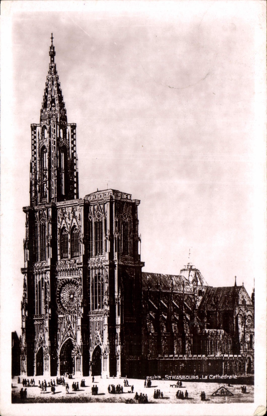 CPA Strasbourg la Cathedrale 