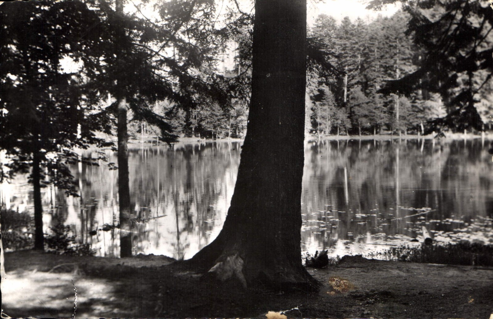 CPA Les Vosges Pittoresque Vexaincourt Lac de Lamaix
