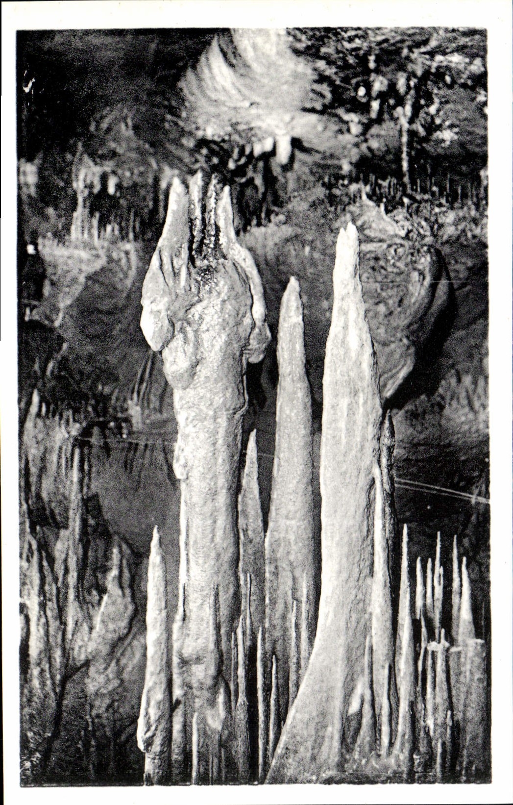 CPA Les Pyrenees les grottes de Betharram Les Isolees