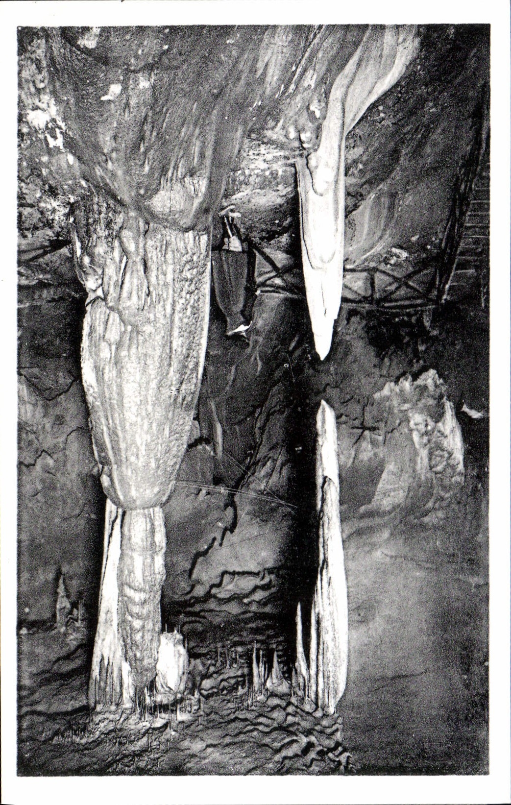 CPA Les Pyrenees les grottes de Betharram Stalactites vivantes 