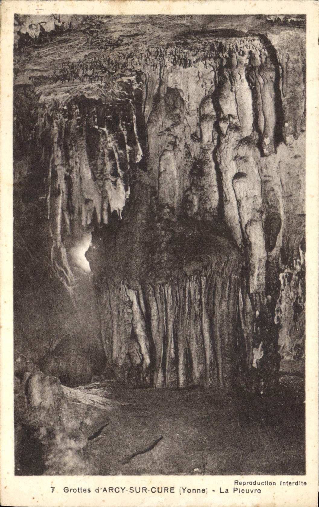 CPA Grottes d'Arcy sur Cure Yonne La Pieuvre