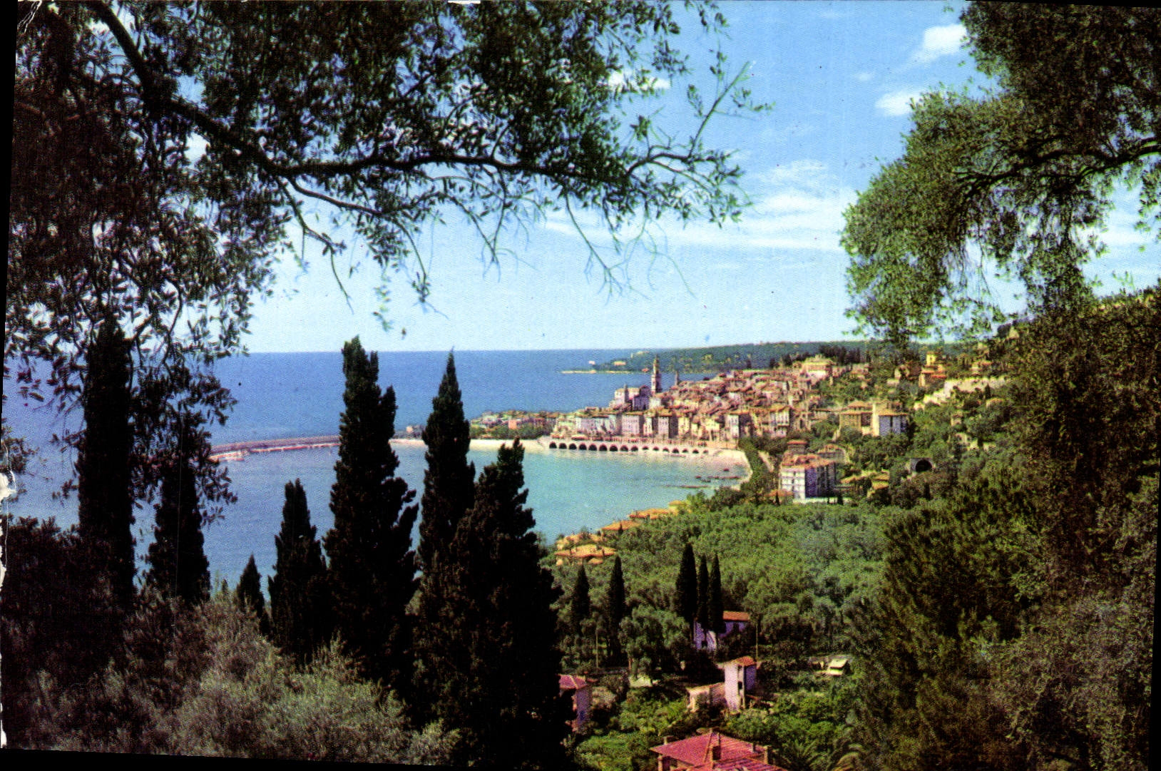 CPA Les Sites merveilleux de la Cote d'Azur Menton A M Vue generale prise a travers les oliviers