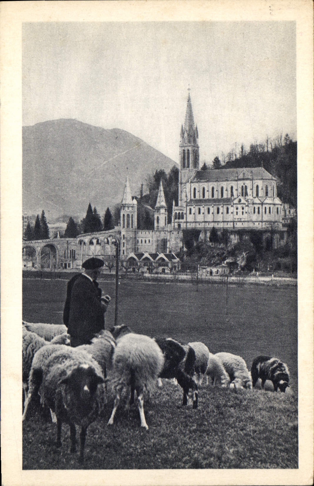 CPA Lourdes La Basilique 