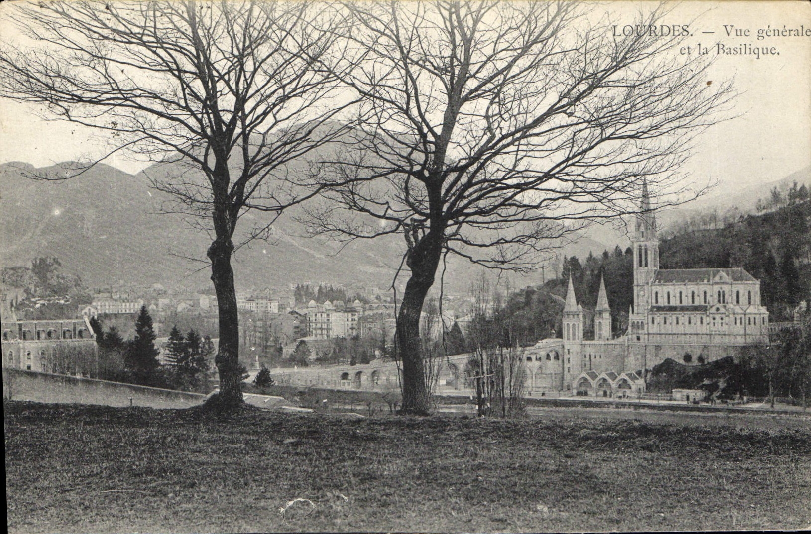 CPA Lourdes vue generale et la Basilique 
