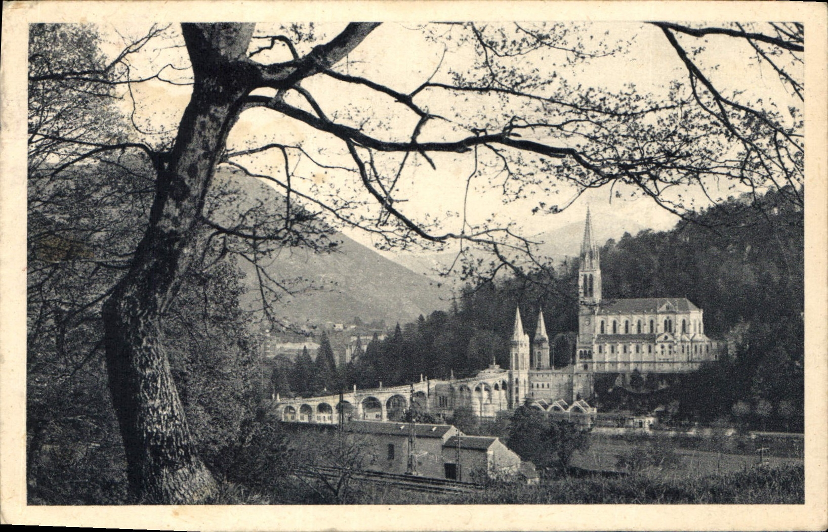 CPA Lourdes la Basilique 