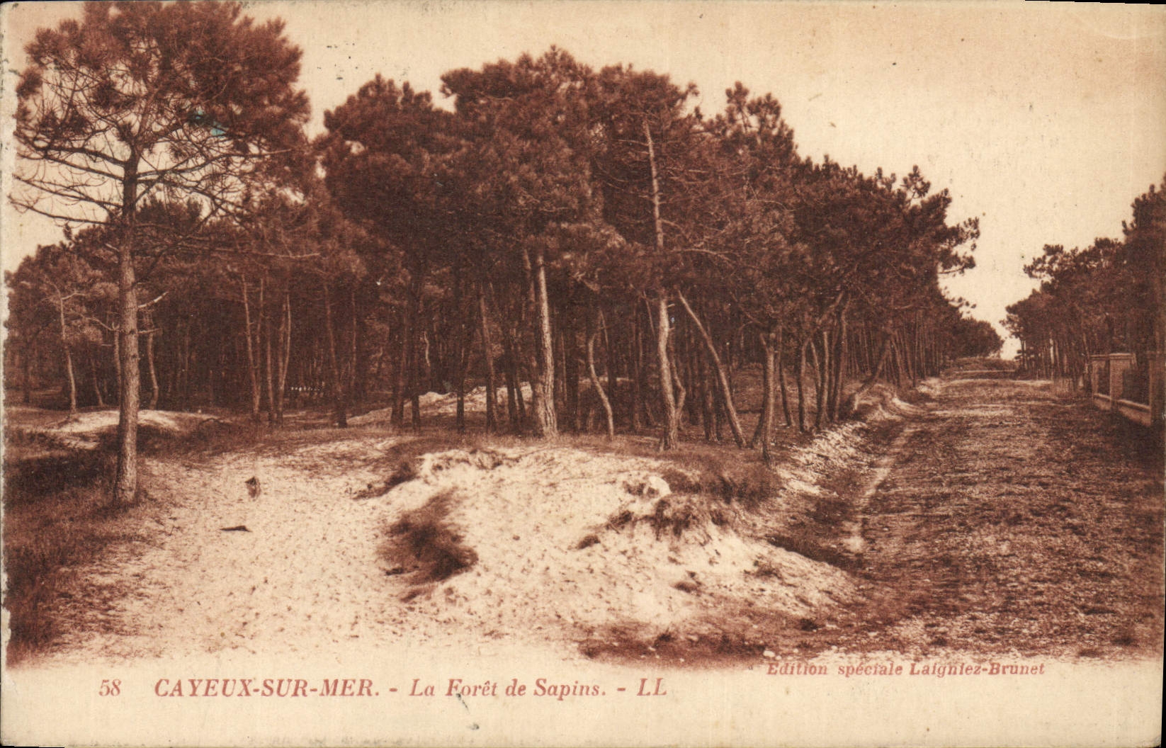 CPA Cayeux Sud Mer la Foret de Sapins