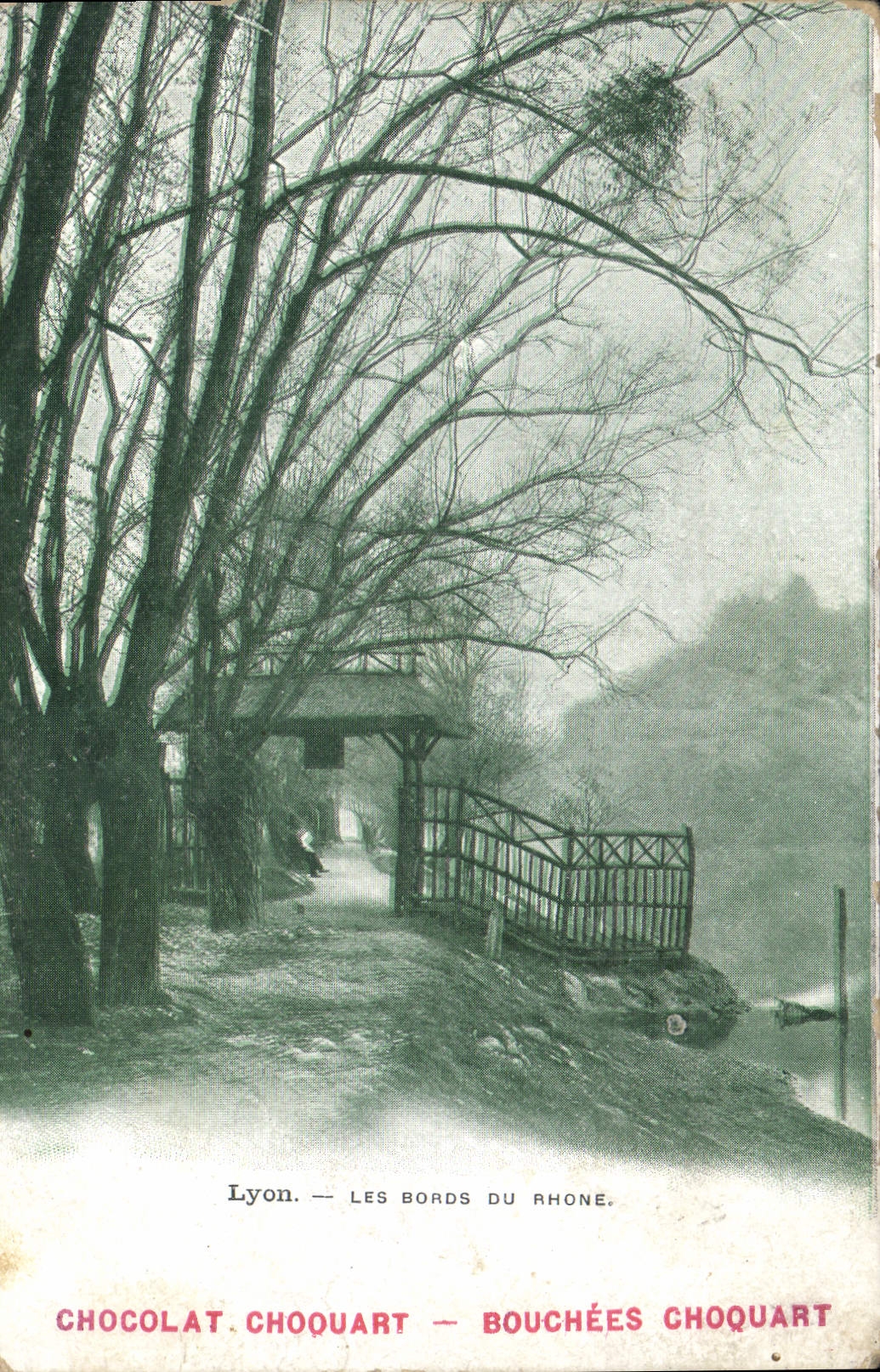 CPA Lyon les Bords du Rhone 