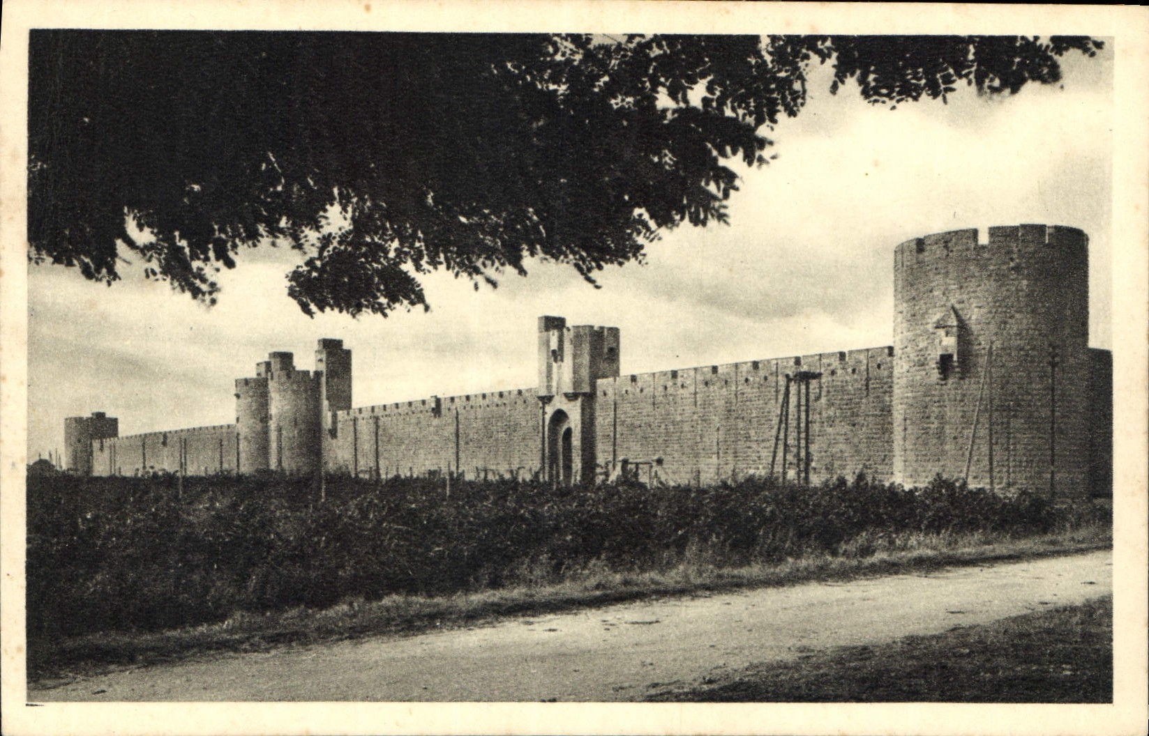 CPA Aigues Mortes Gard les Remparts Face Est 