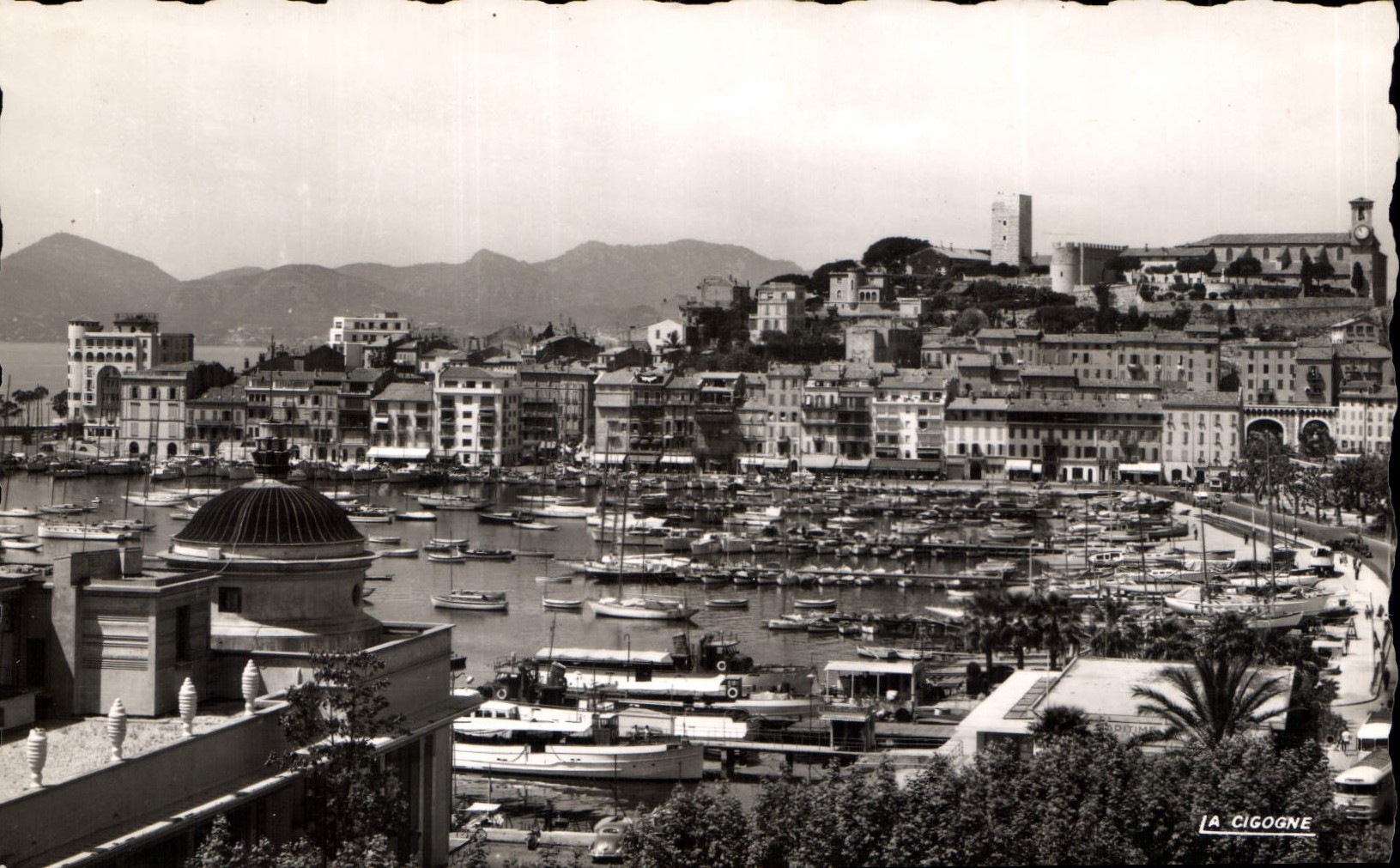 CPM Cannes A M le Port et le Suquet au l'Esterel Bateaux