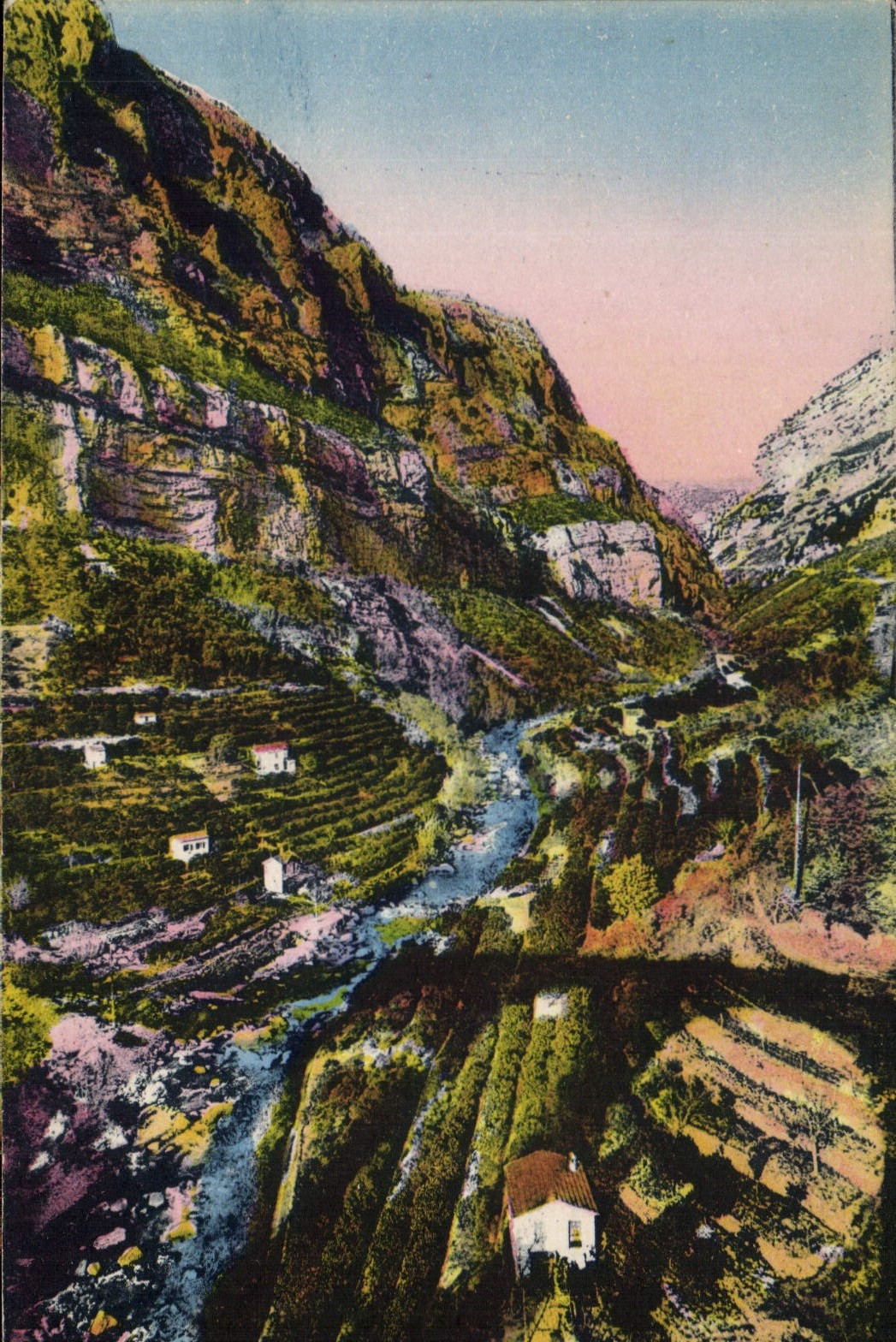 CPA Les Gorges du Loup A M entree des Gorges Plantations d'Orangers