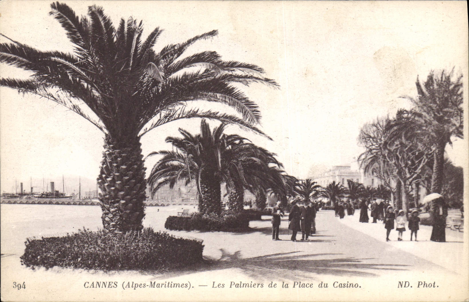 CPA Cannes Alpes Maritimes Les Palmiers de la Place du Casino 