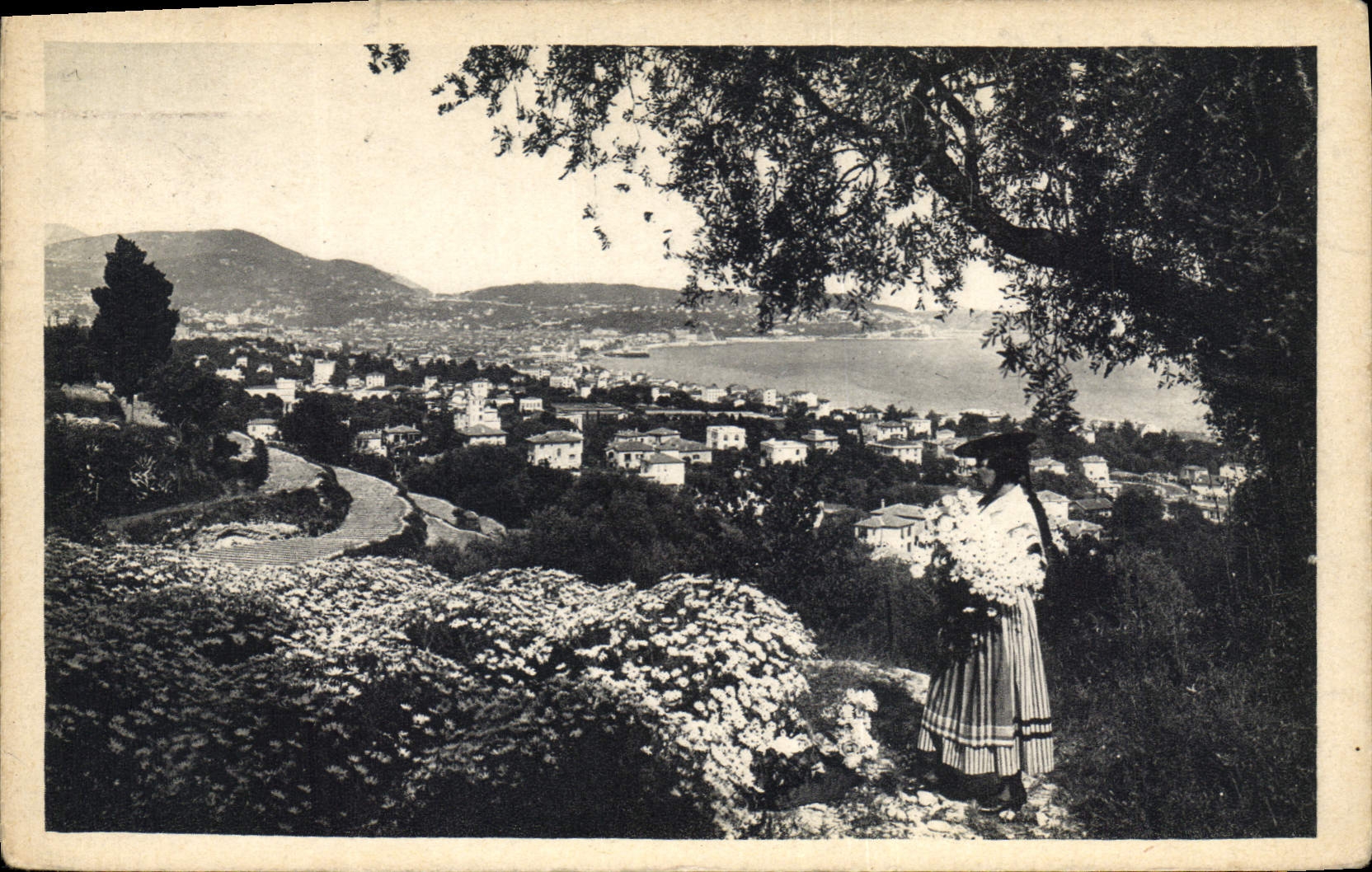 CPA Cote d'Azur Atristique Nice entre les fleurs et les oliviers 