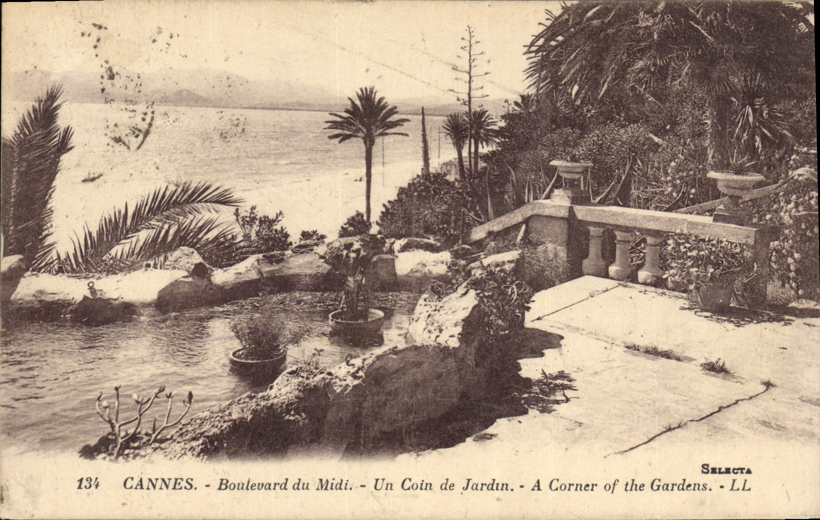 CPA Cannes Boulevard du Midi un Coin de Jardin 