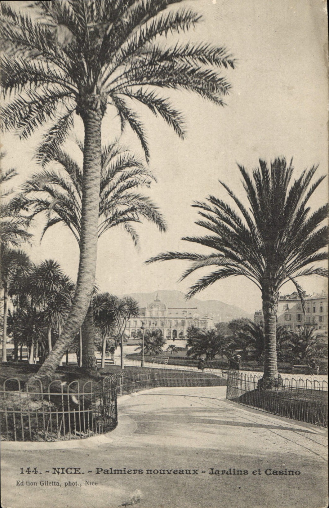 CPA Nice Palmiers nouveaux Jardins et Cassino 