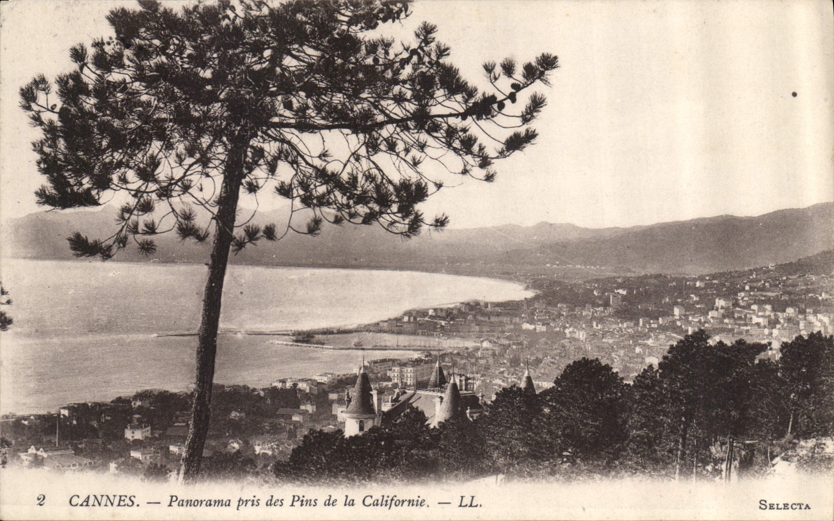 CPA Cannes Panorama pris des Pins de la Californie