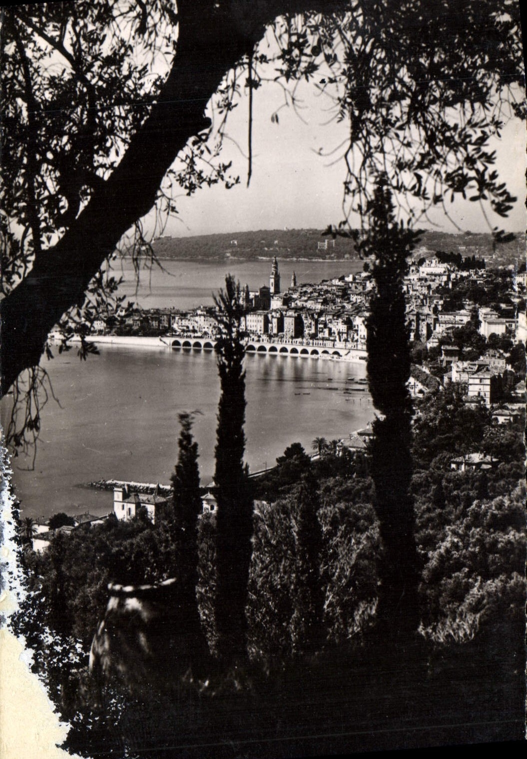 CPA La Cote d'Azur Menton vue prise des Colombieres 