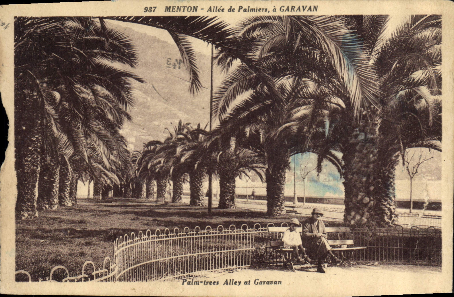 CPA Menton Allee de Palmiers a Garavan 