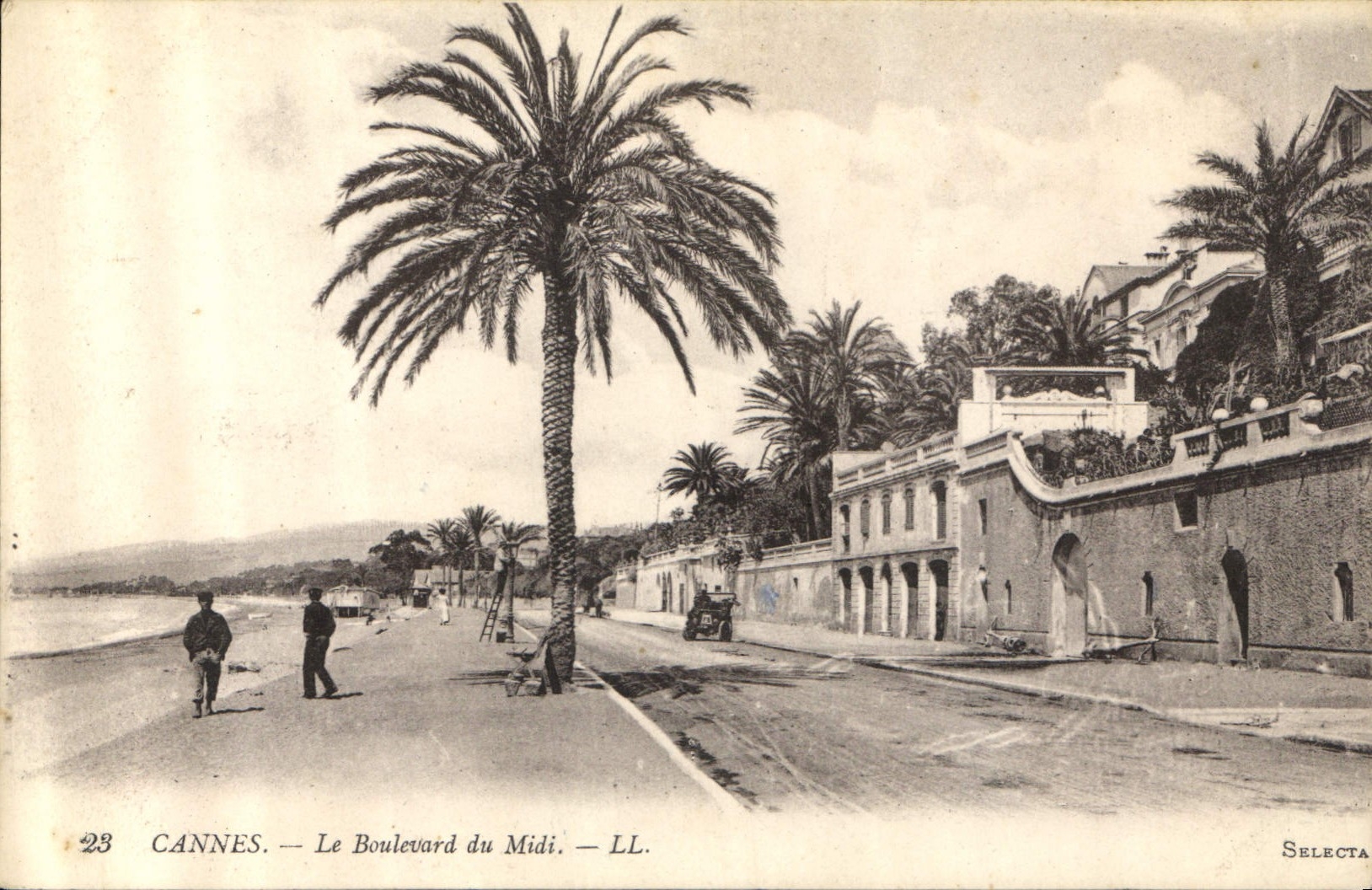 CPA Cannes le Boulevard du Midi 