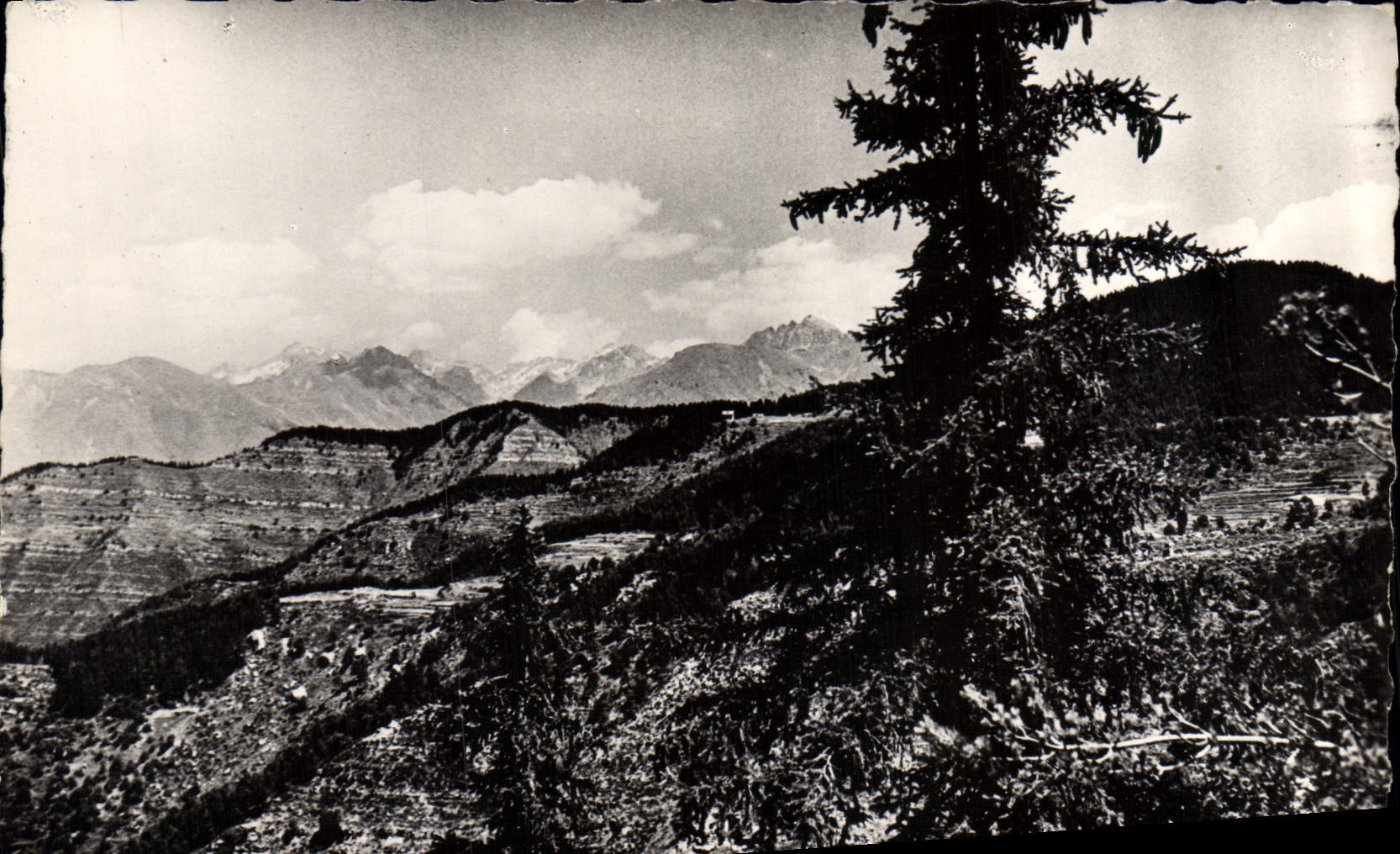 CPA Piera Cava A M vue sur les Hautes Montagnes