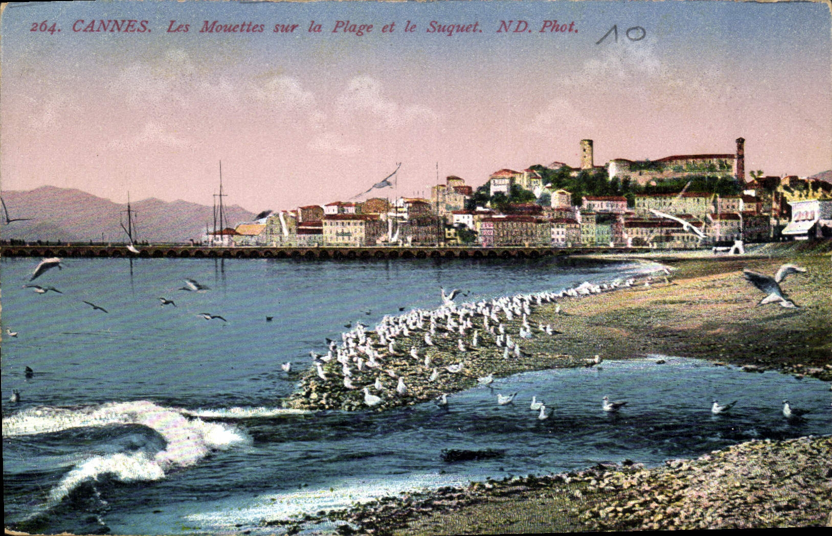 CPA Cannes les Mouettes sur la Plage et le Suquet 