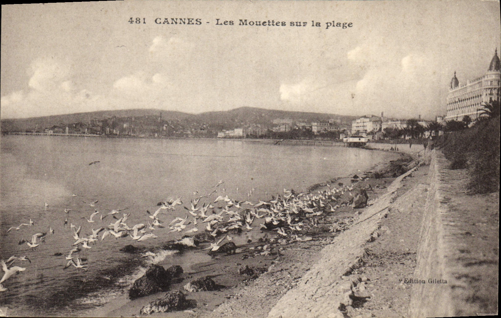 CPA Cannes les Mouettes sur la Plage 