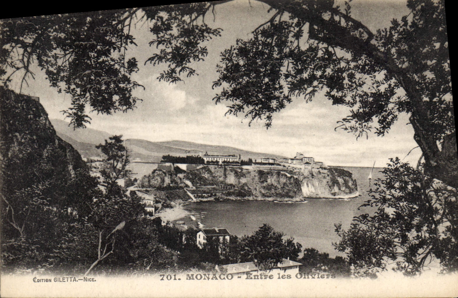 CPA Monaco entre les Oliviers 