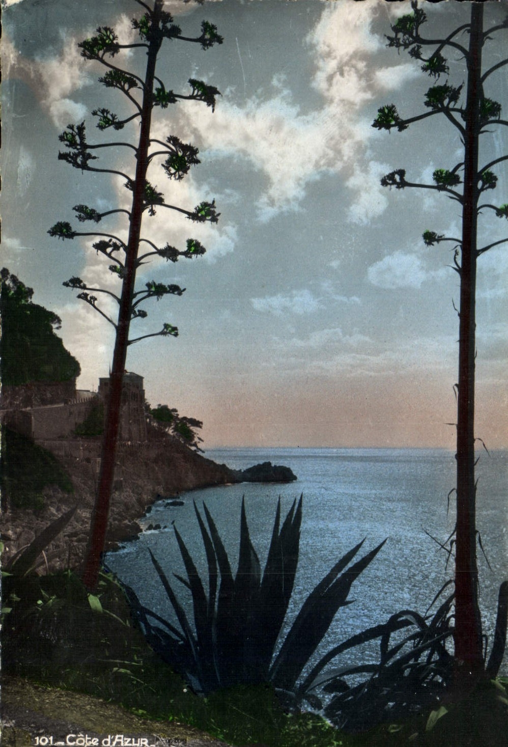 CPA La Cote d'Azur Crepuscule sur la Mediterranee