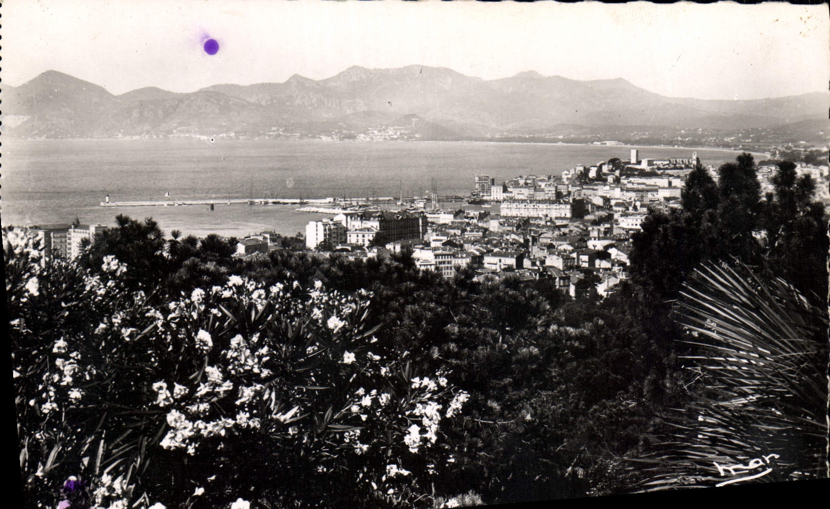 CPA La Cote d'Azur Cannes Vue generale 