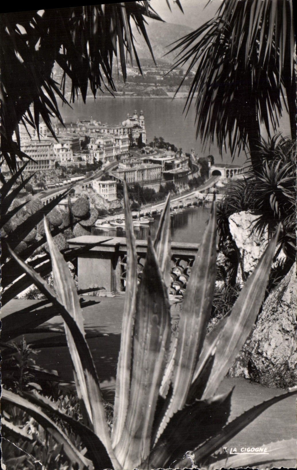 CPA Monte Carlo et le Casino vus du Jardin Exotique 