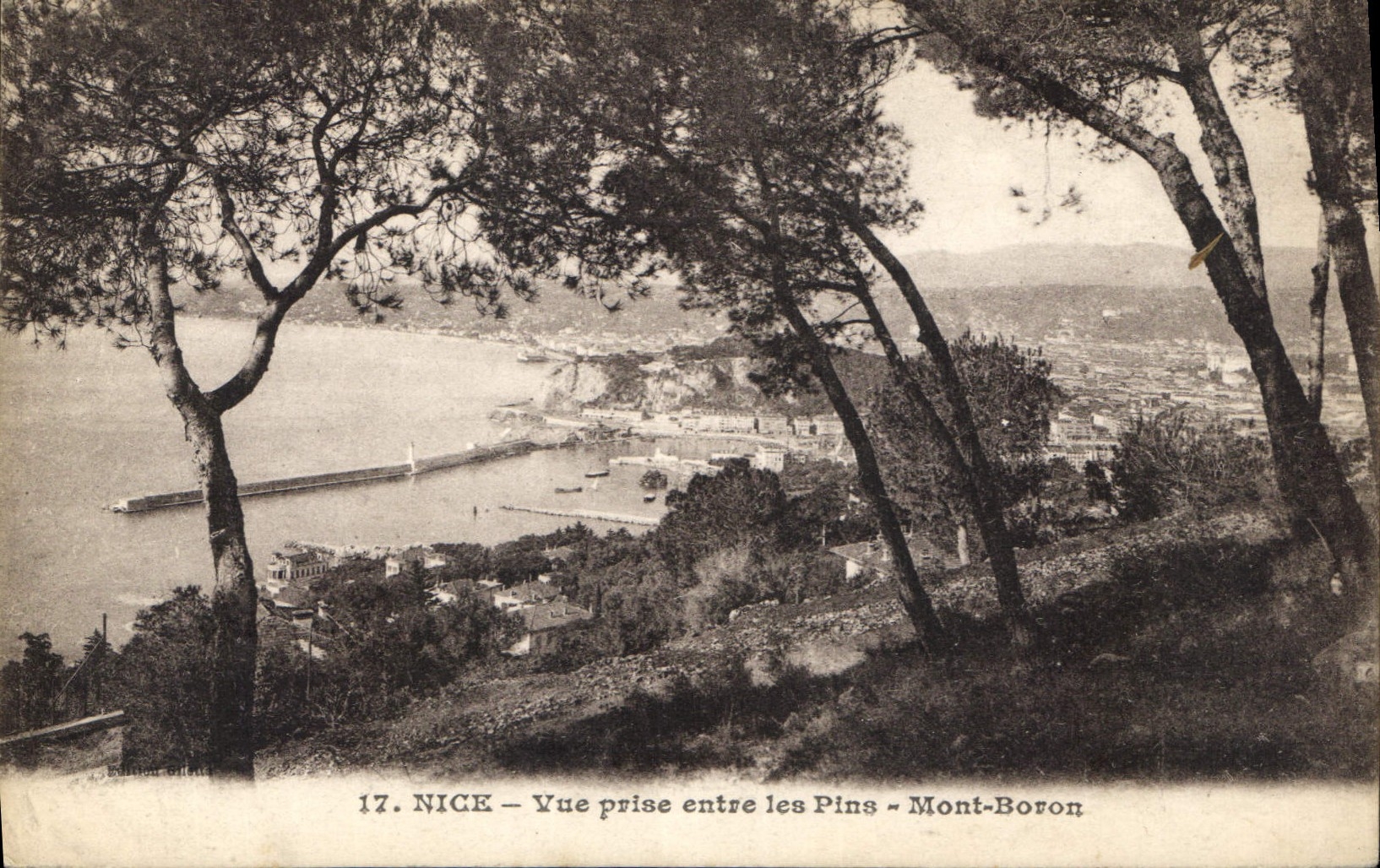 CPA Nice Vue prise entre les Pins Mont Boron