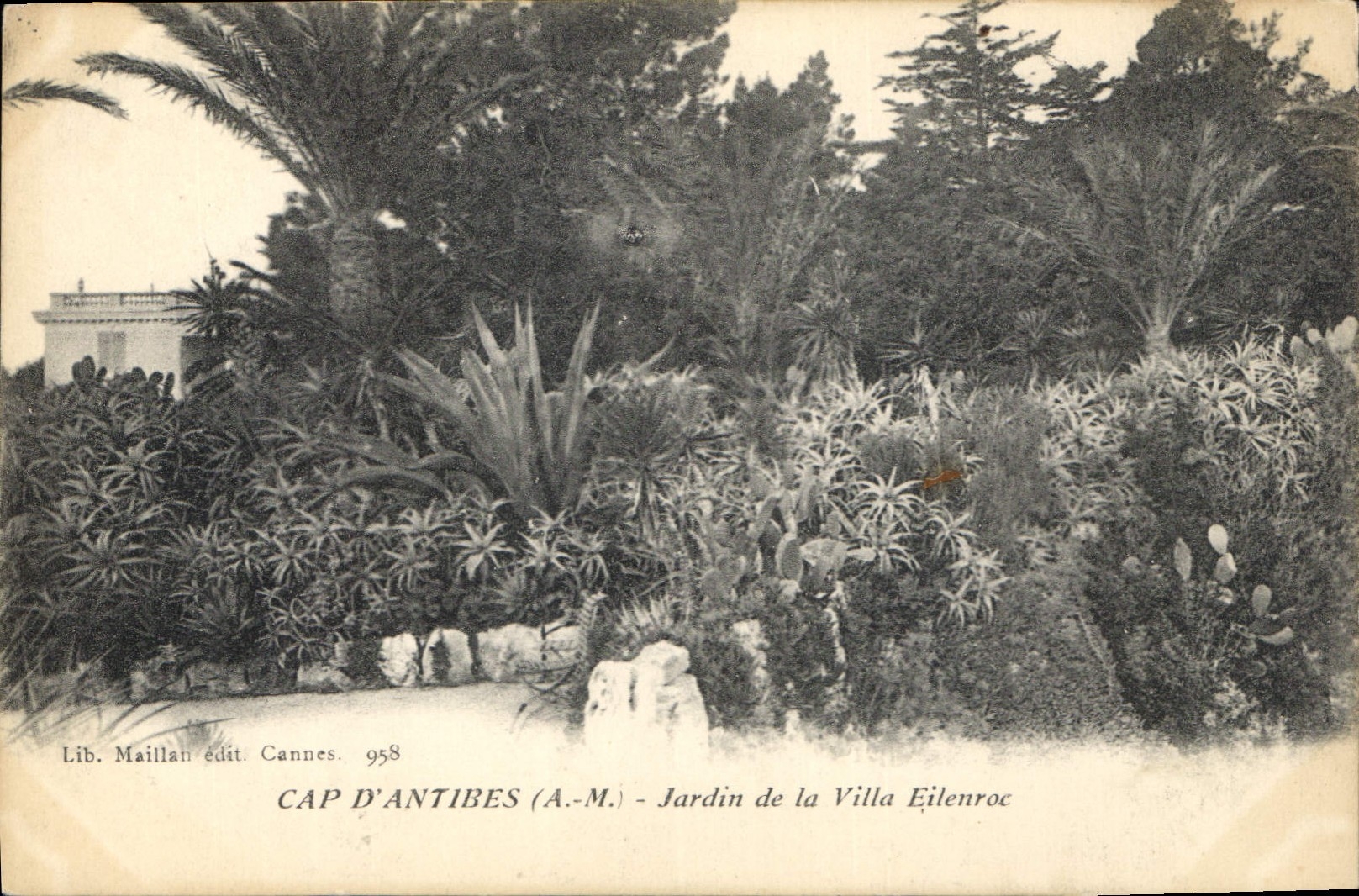 CPA Cap d'Antibes A M Jardin de la Villa Eilenroc