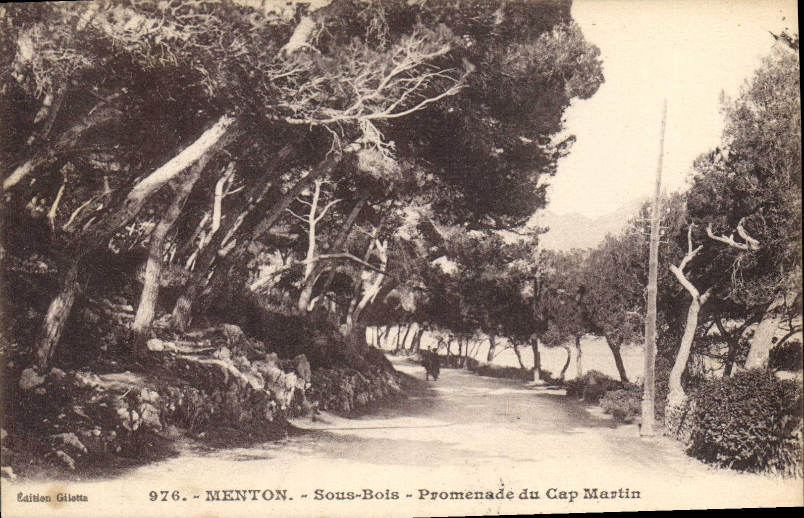 CPA Menton Sous Bois Promenade du Cap Martin