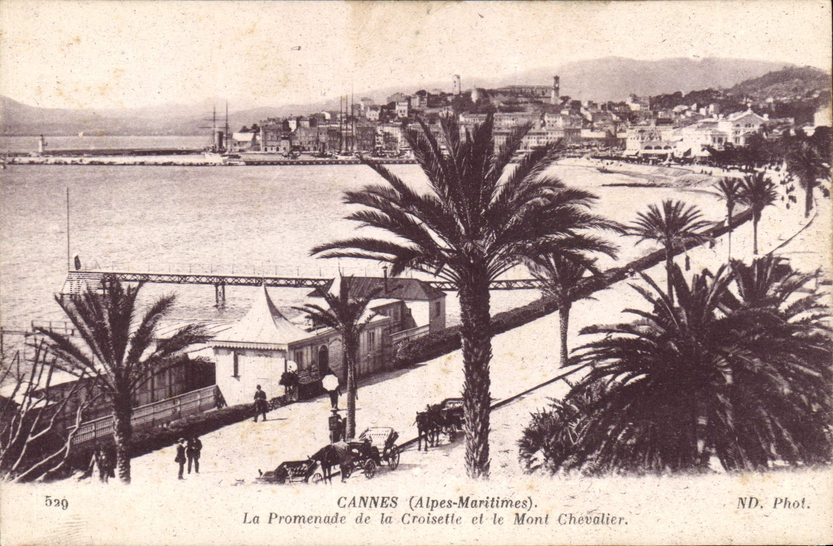 CPA Cannes Alpes Maritimes La Promenade de la Croisette et le Mont Chevalier 